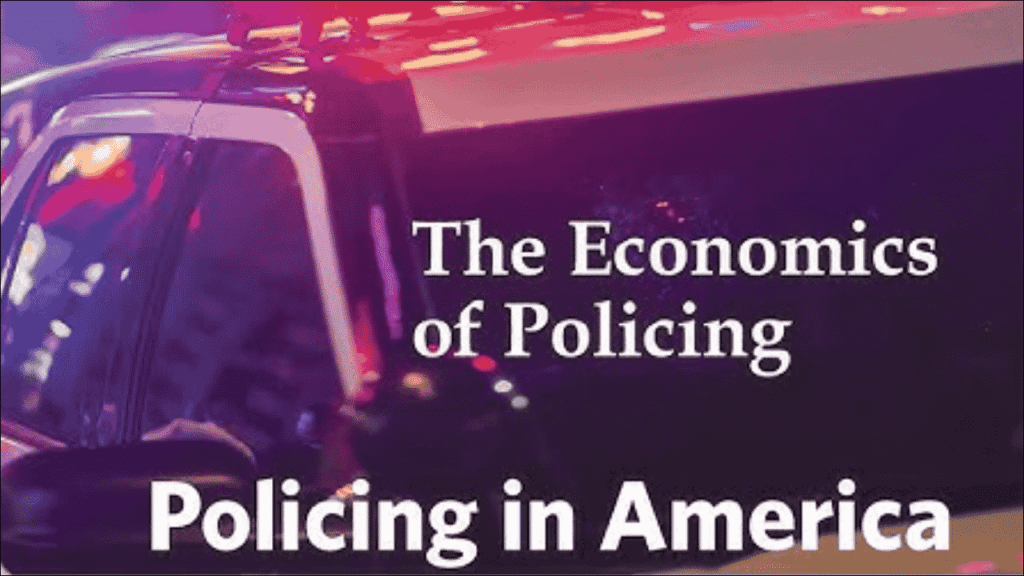 The Economics of Policing and Public Safety