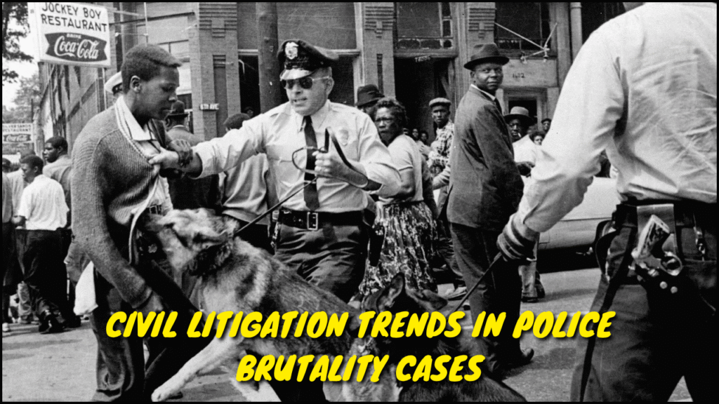 Civil Litigation Trends in Police Brutality Cases
